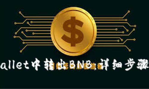 如何在TPWallet中转出BNB：详细步骤与注意事项