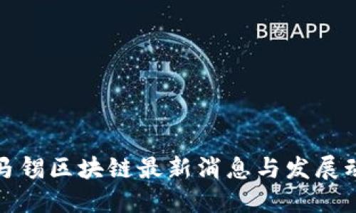 淡马锡区块链最新消息与发展动态