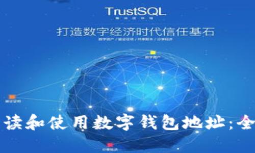 如何解读和使用数字钱包地址：全面指南