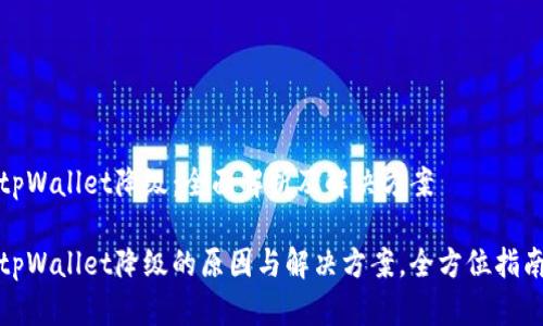 tpWallet降级：全面解析及解决方案

tpWallet降级的原因与解决方案，全方位指南