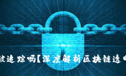 区块链钱包能被追踪吗？深度解析区块链透明性与隐私保护