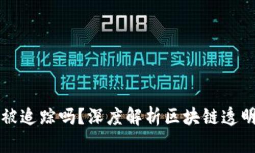 区块链钱包能被追踪吗？深度解析区块链透明性与隐私保护