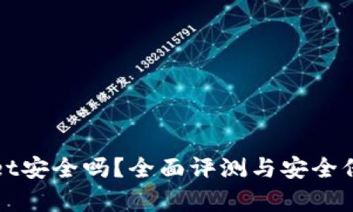 tpWallet安全吗？全面评测与安全保障分析