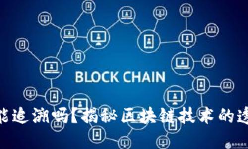 TokenIM转账能追溯吗？揭秘区块链技术的透明性与安全性