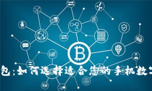  热钱包与冷钱包：如何选择适合您的手机数字资产管理方案