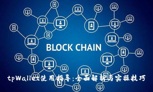 tpWallet使用指导：全面解析与实操技巧