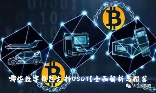 哪些数字钱包支持USDT？全面解析与推荐