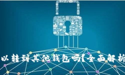 tpwallet的币可以转到其他钱包吗？全面解析与实用操作指南