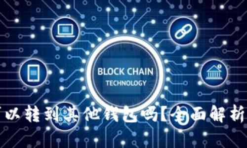 tpwallet的币可以转到其他钱包吗？全面解析与实用操作指南