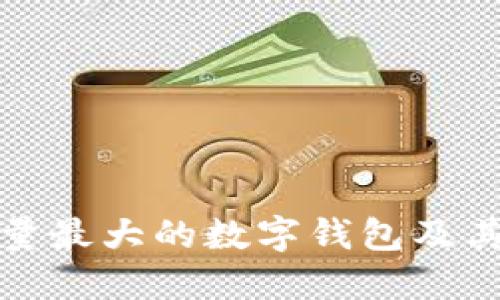 全球用户量最大的数字钱包及其发展现状