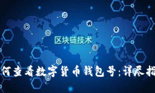 如何查看数字货币钱包号：详尽指南