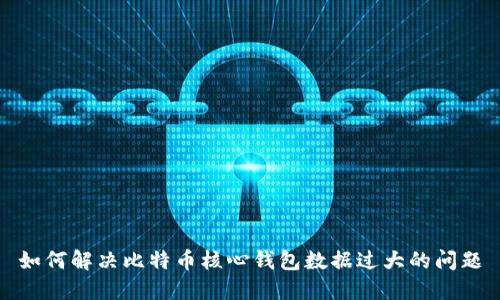 如何解决比特币核心钱包数据过大的问题