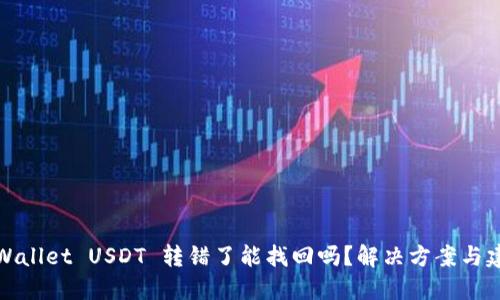 TPWallet USDT 转错了能找回吗？解决方案与建议