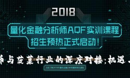 虚拟币与菠菜行业的深度对接：机遇与挑战