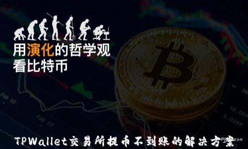 
TPWallet交易所提币不到账的解决方案