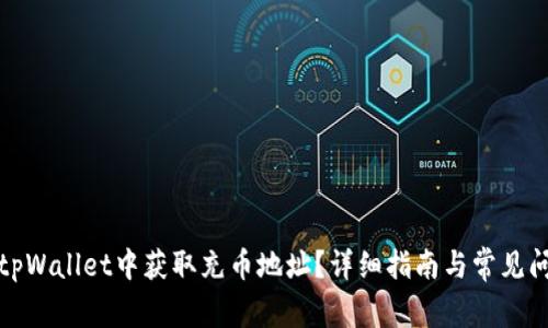 如何在tpWallet中获取充币地址？详细指南与常见问题解答