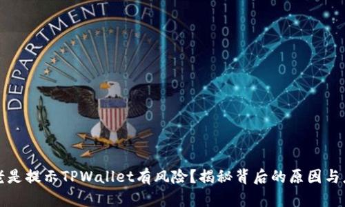 为什么老是提示TPWallet有风险？揭秘背后的原因与应对策略