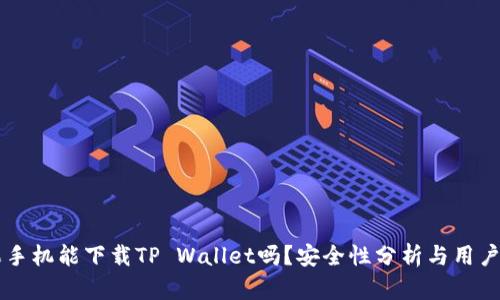 苹果手机能下载TP Wallet吗？安全性分析与用户指南