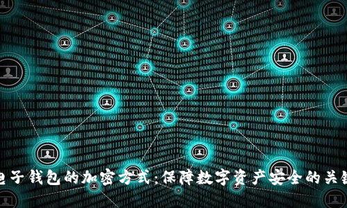电子钱包的加密方式：保障数字资产安全的关键