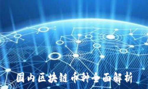   
国内区块链币种全面解析