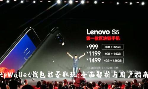 tpWallet钱包能否取现：全面解析与用户指南