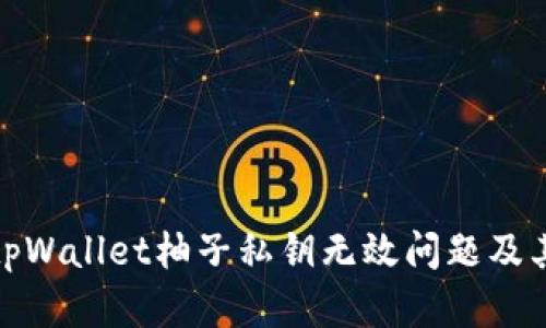 如何解决tpWallet柚子私钥无效问题及其防范措施