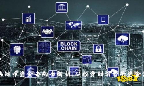 区块链币资金去向全解析：从投资到消费的资金流动