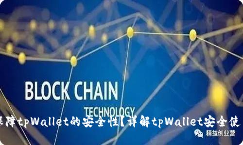 如何保障tpWallet的安全性？详解tpWallet安全使用指南