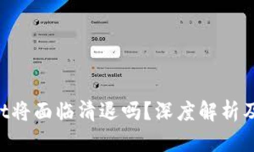  TPWallet将面临清退吗？深度解析及未来展望