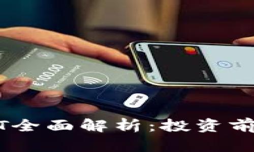 虚拟币GOST全面解析：投资前的必读指南