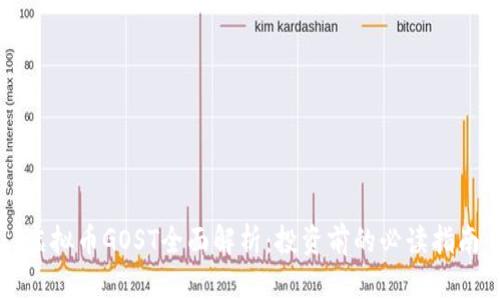 虚拟币GOST全面解析：投资前的必读指南