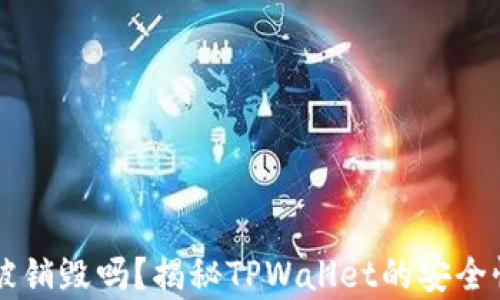 
TPWallet能被销毁吗？揭秘TPWallet的安全性与风险分析