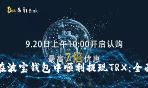 如何在波宝钱包中顺利提现TRX：全面指南