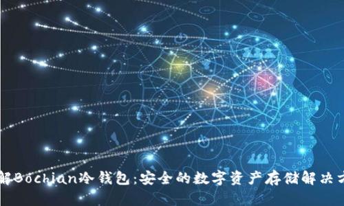 了解Bochian冷钱包：安全的数字资产存储解决方案