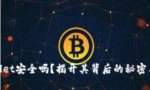 tpwallet安全吗？揭开其背后的秘密与风险