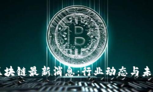 曹锋区块链最新消息：行业动态与未来展望