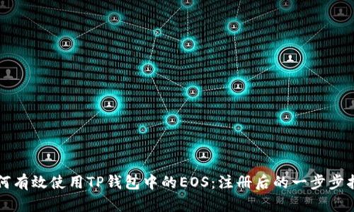 如何有效使用TP钱包中的EOS：注册后的一步步指南