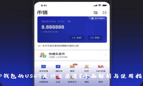 TP钱包的USDT是什么渠道？全面解析与使用指南