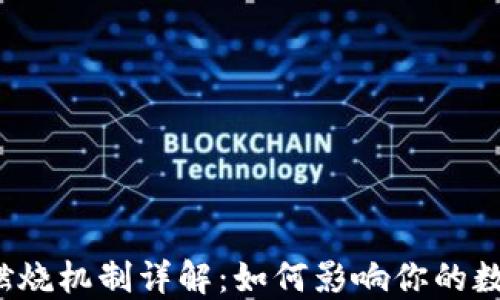 
TP钱包燃烧机制详解：如何影响你的数字资产？