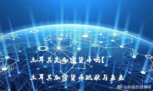 土耳其是加密货币吗？

土耳其加密货币现状与未来