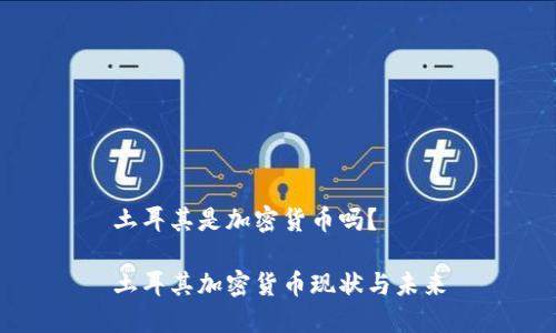 土耳其是加密货币吗？

土耳其加密货币现状与未来