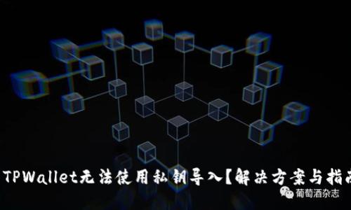 TPWallet无法使用私钥导入？解决方案与指南