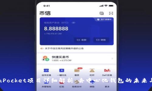 TokenPocket项目详细解析：去中心化钱包的未来与挑战