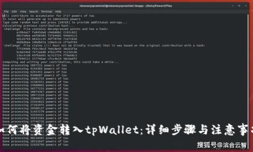 如何将资金转入tpWallet：详细步骤与注意事项