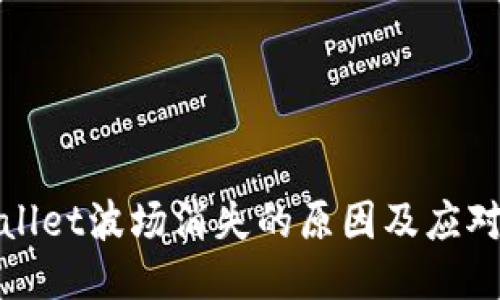 TPWallet波场消失的原因及应对策略