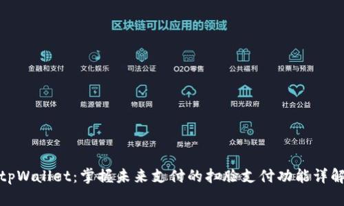 tpWallet：掌握未来支付的扫脸支付功能详解