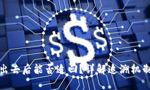 区块链币转出去后能否追回？详解追溯机制与预防措施