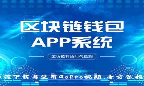 如何下载与使用GoPro视频：全方位指南