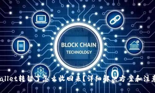  tpwallet转错了怎么收回来？详细解决方案和注意事项