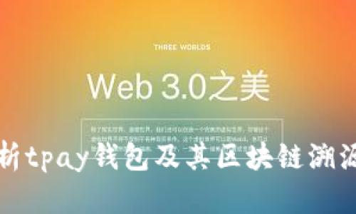 : 全面解析tpay钱包及其区块链溯源技术应用